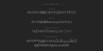 Marc & Amorist Font Poster 11