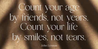 Meravila VF Font Poster 9