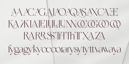 Meravila VF Font Poster 13