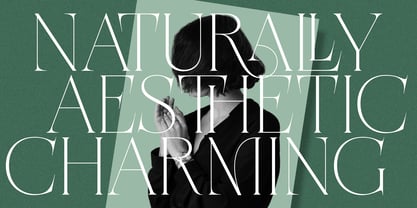 Meravila VF Font Poster 3