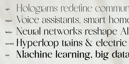 Meravila VF Font Poster 12