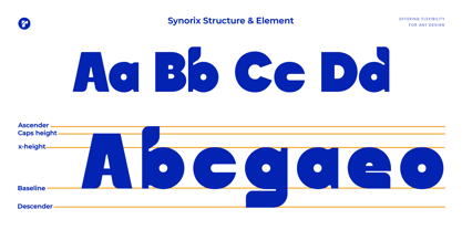 Synorix Font Poster 7