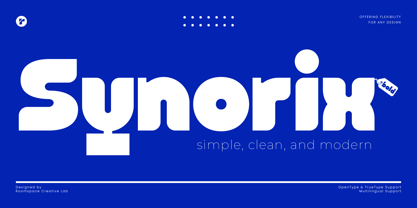 Synorix Font Poster 1