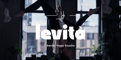 Synorix Font Poster 8