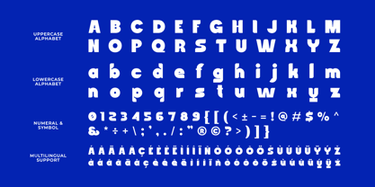 Synorix Font Poster 13