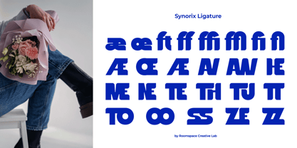 Synorix Font Poster 12
