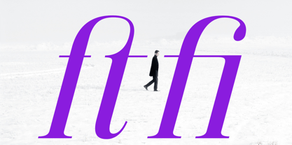 Vintora Serif Font Poster 15