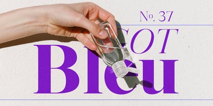 Vintora Serif Font Poster 10