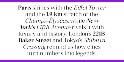 Vintora Serif Font Poster 4