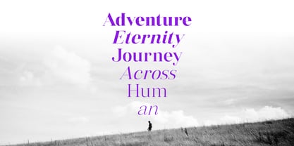 Vintora Serif Font Poster 5