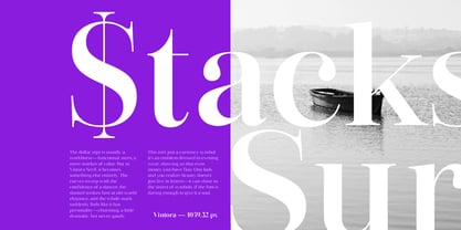 Vintora Serif Font Poster 13