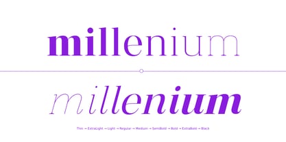 Vintora Serif Font Poster 3