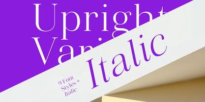 Vintora Serif Font Poster 6