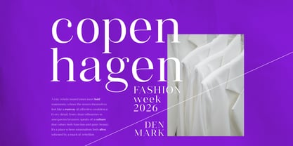 Vintora Serif Font Poster 11