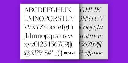 Vintora Serif Font Poster 8