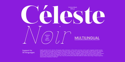Vintora Serif Font Poster 9