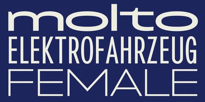 Franzi Variable Font Poster 10