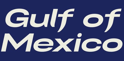 Franzi Variable Font Poster 11