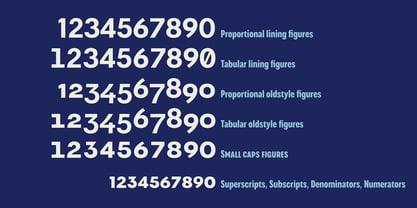 Franzi Variable Font Poster 5
