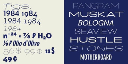 Franzi Variable Font Poster 12