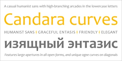 Candara Font Poster 3