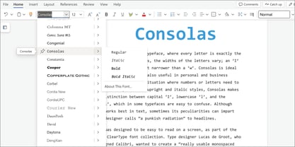 Consolas Font | Webfont & Desktop | MyFonts