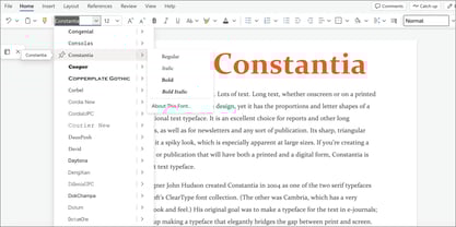 Constantia Font Poster 5