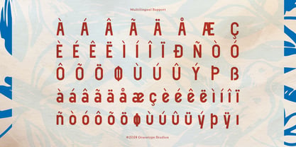 Herald Town Font Poster 11