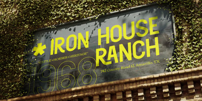 Herald Town Font Poster 9