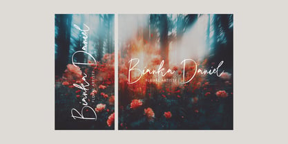 Relieve Fatigue Signature Font Poster 2