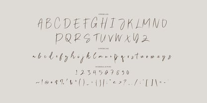 Relieve Fatigue Signature Font Poster 6