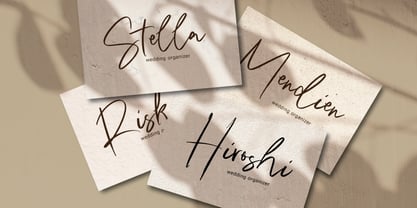 Relieve Fatigue Signature Font Poster 3