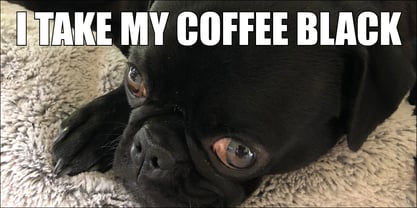 Impact Font Poster 5