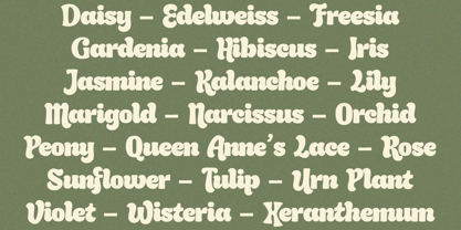 Rockout Font Poster 9