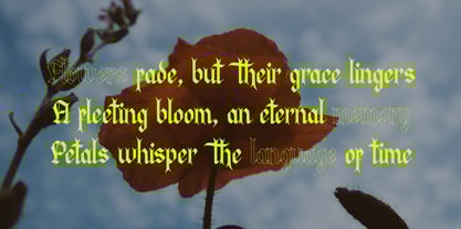 Manthra Klaussa Font Poster 2