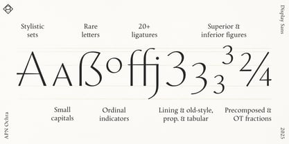 APN Ochra Font Poster 12