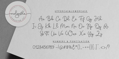 Malgosha Font Poster 10