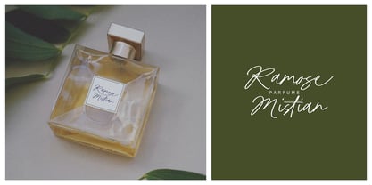 Peaceful Harmony Signature Font Poster 4