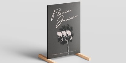 Malverya Font Poster 7