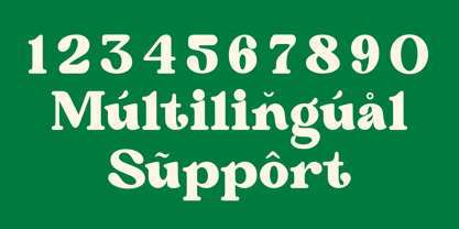 Never Aurora Font Poster 11