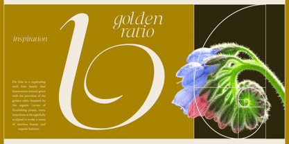 Dh Irlia Font Poster 2