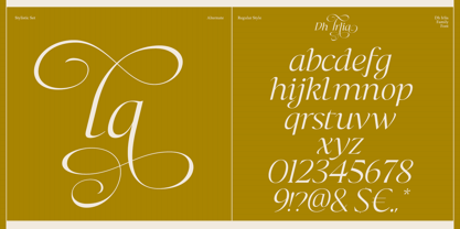 Dh Irlia Font Poster 14