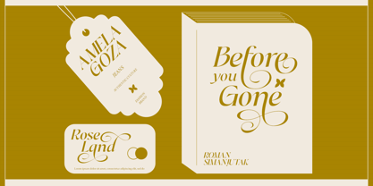 Dh Irlia Font Poster 10