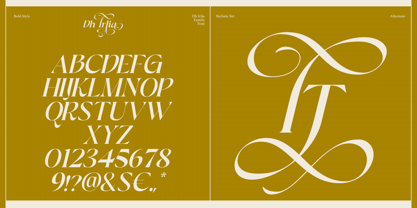 Dh Irlia Font Poster 13