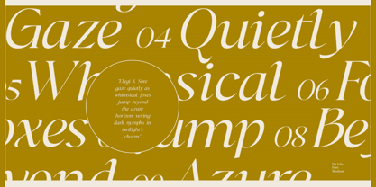 Dh Irlia Font Poster 8