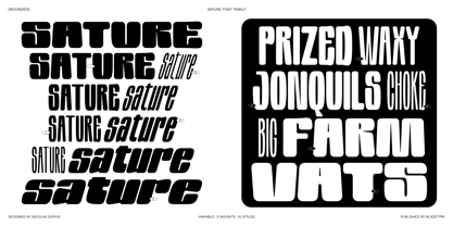 Sature Rounded Variable Font Poster 1