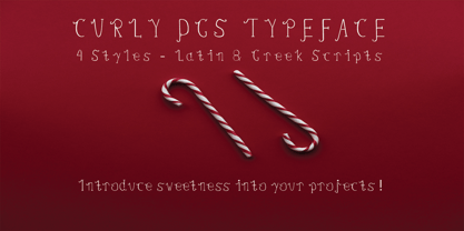 Curly dgs Font Poster 1