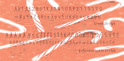 Curly dgs Font Poster 4