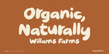 Samara Font Poster 14