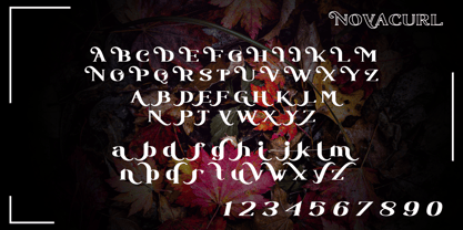 Novacurl Font Poster 9